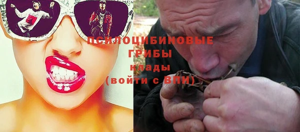 Альфа ПВП Зеленокумск