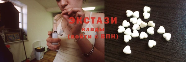 ГАЛЛЮЦИНОГЕННЫЕ ГРИБЫ Инта