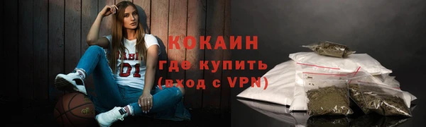 ГАЛЛЮЦИНОГЕННЫЕ ГРИБЫ Инта