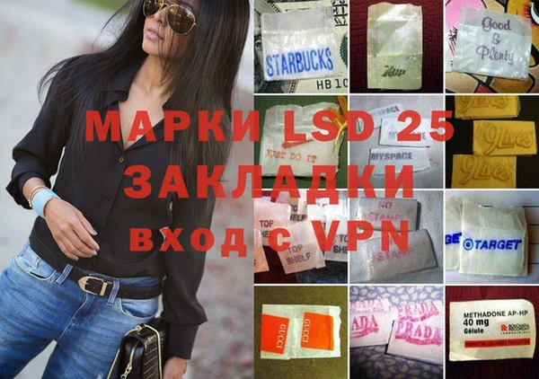 ГАЛЛЮЦИНОГЕННЫЕ ГРИБЫ Инта
