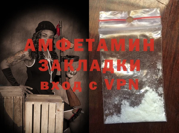 ГАЛЛЮЦИНОГЕННЫЕ ГРИБЫ Инта
