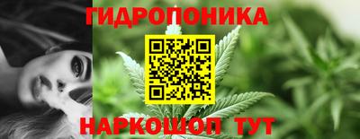mdpv Кандалакша