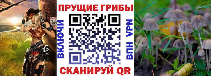купить закладку  Нижнекамск  Галлюциногенные грибы GOLDEN TEACHER 