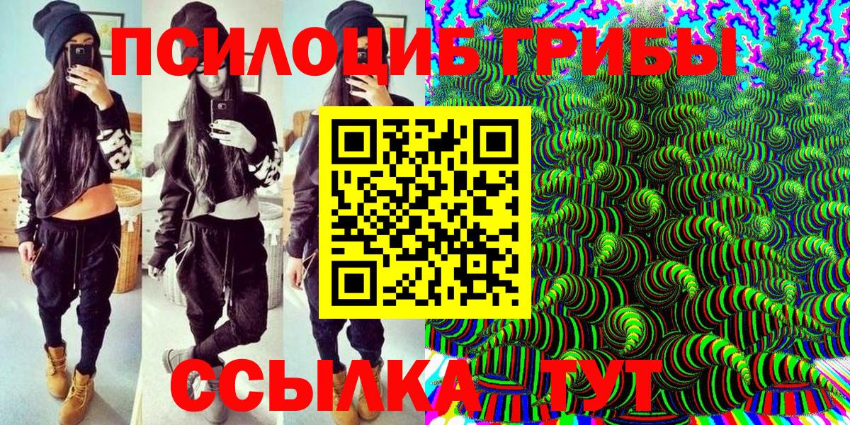 Галлюциногенные грибы MAGIC MUSHROOMS  Вход с VPN  Нижнекамск 