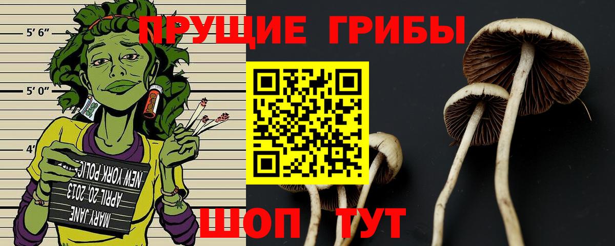 Псилоцибиновые грибы GOLDEN TEACHER Нижнекамск